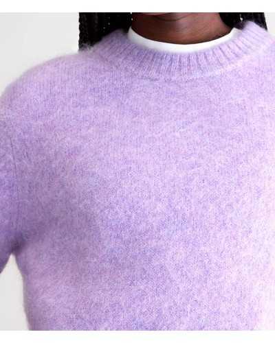 Bellerose Auron Jersey Purple | BELLEROSE - Compra Online en Sune