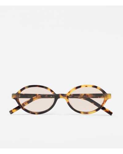 Kaleos Bless 3 Camel | KALEOS - Compra Online en Sune