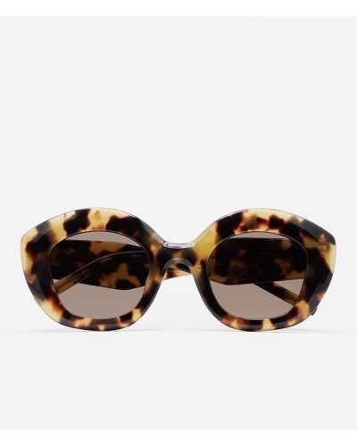 Kaleos Kuttner 4 Brown