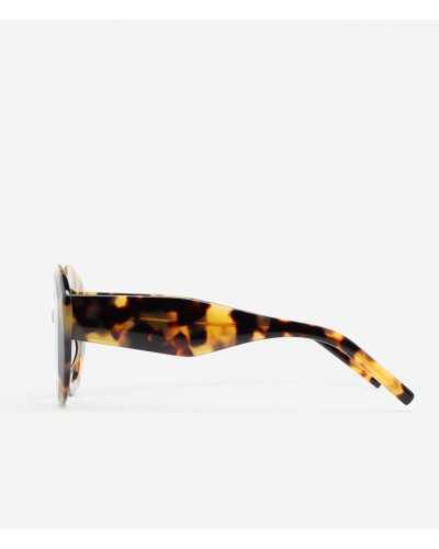 Kaleos Kuttner 4 Brown
