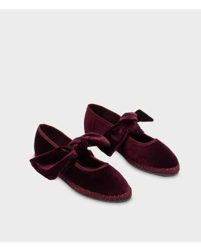 Flabelus Lyra Burgundy