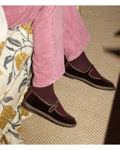 Flabelus Sethe Brown