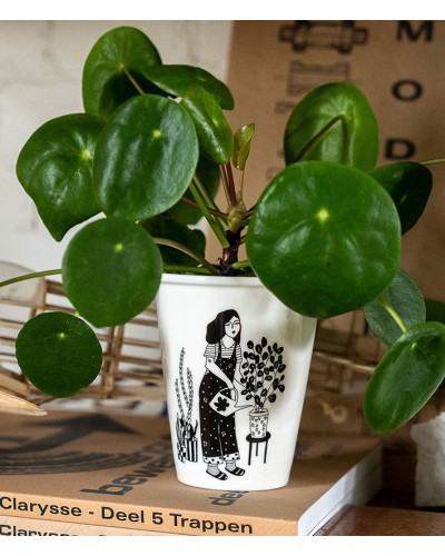 Helen B Cup Plant lover