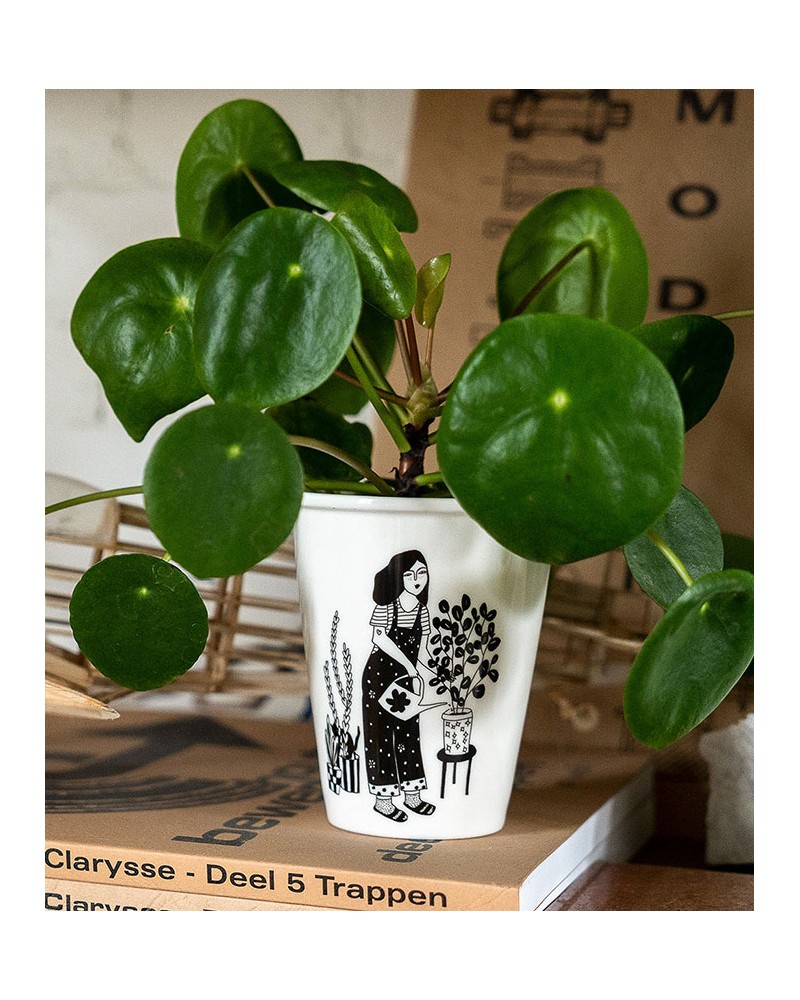 Helen B Cup Plant lover