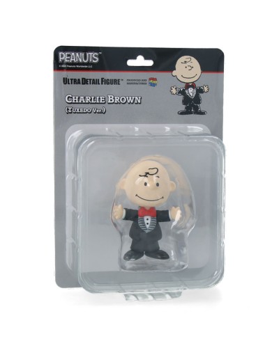 Artoyz Peanuts Charlie Brown