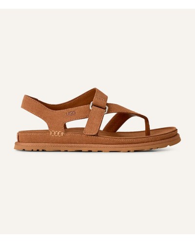 Ugg Goldengaze Toe Chestnut