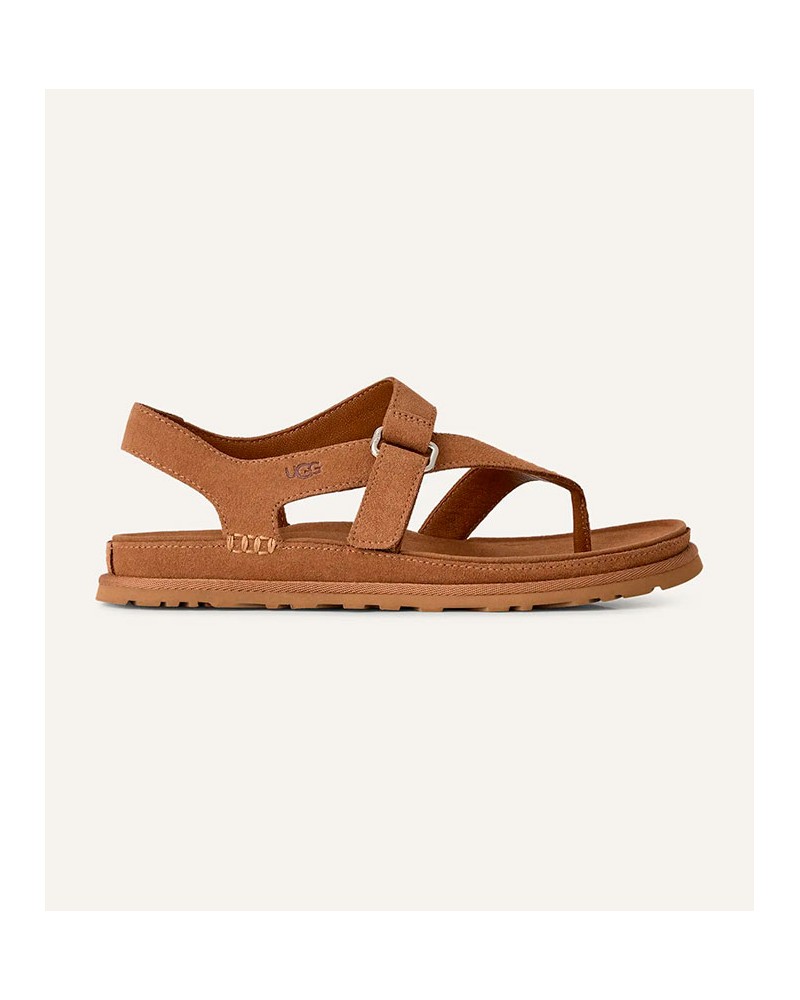 Ugg Goldengaze Toe Chestnut