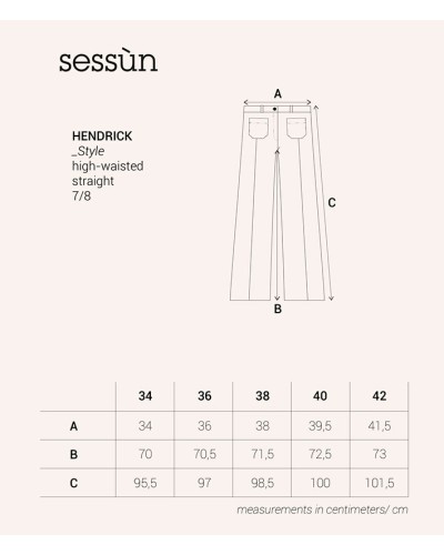 Sessun Hendrick Pants Smoke