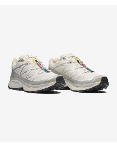 Salomon XT 6 Beige Silver