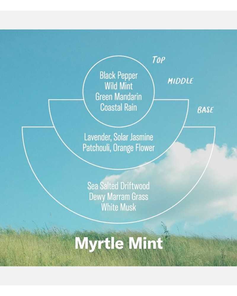 PF Candle NO. 4 Myrtle Mint Incense Cones