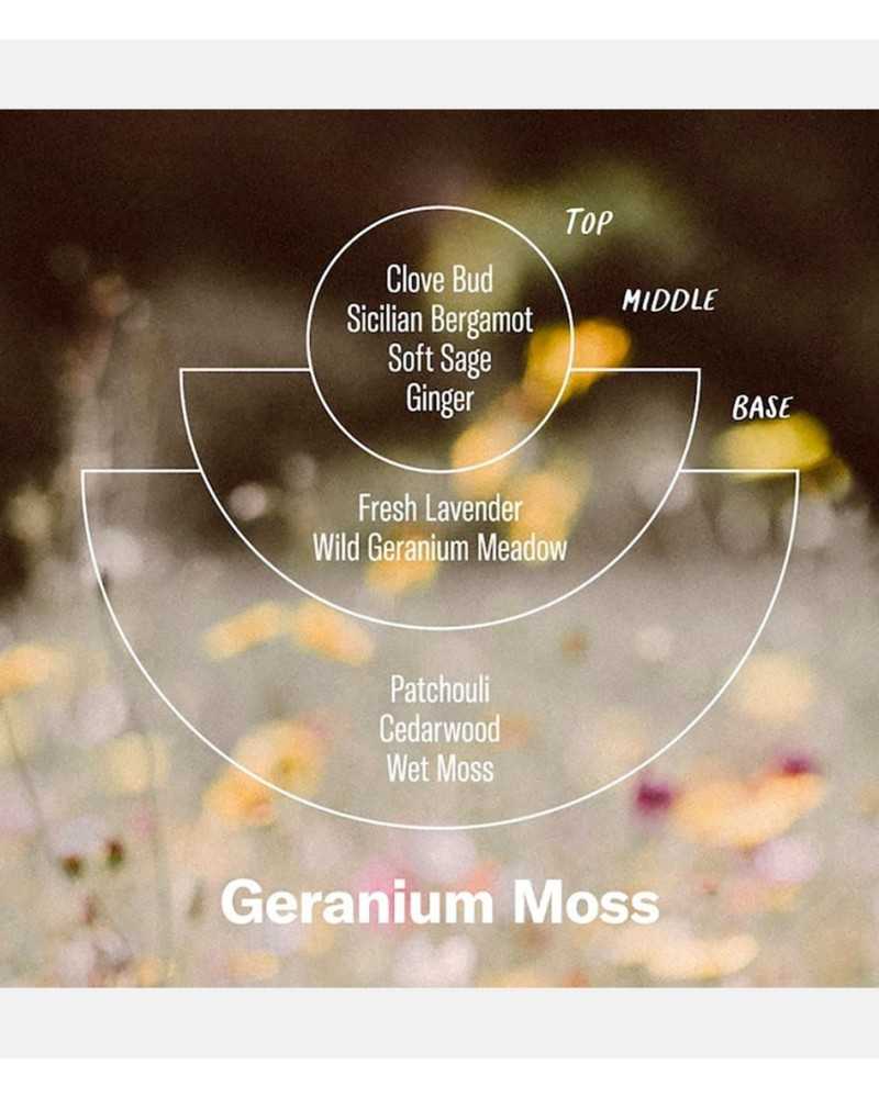 PF Candle NO. 3 Geranium Moss Incense Cones