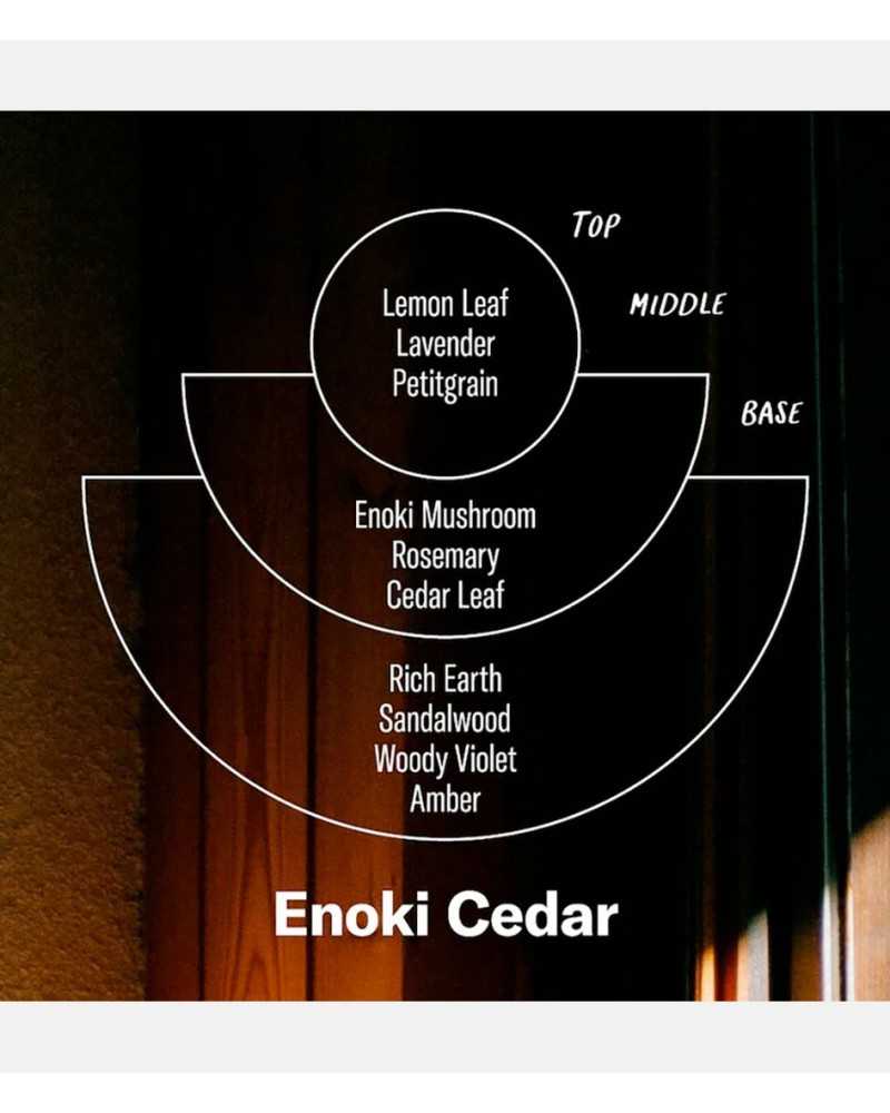 PF Candle NO. 2 Enoki Cedar Incense Cones
