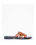 Homers Dalia Black
