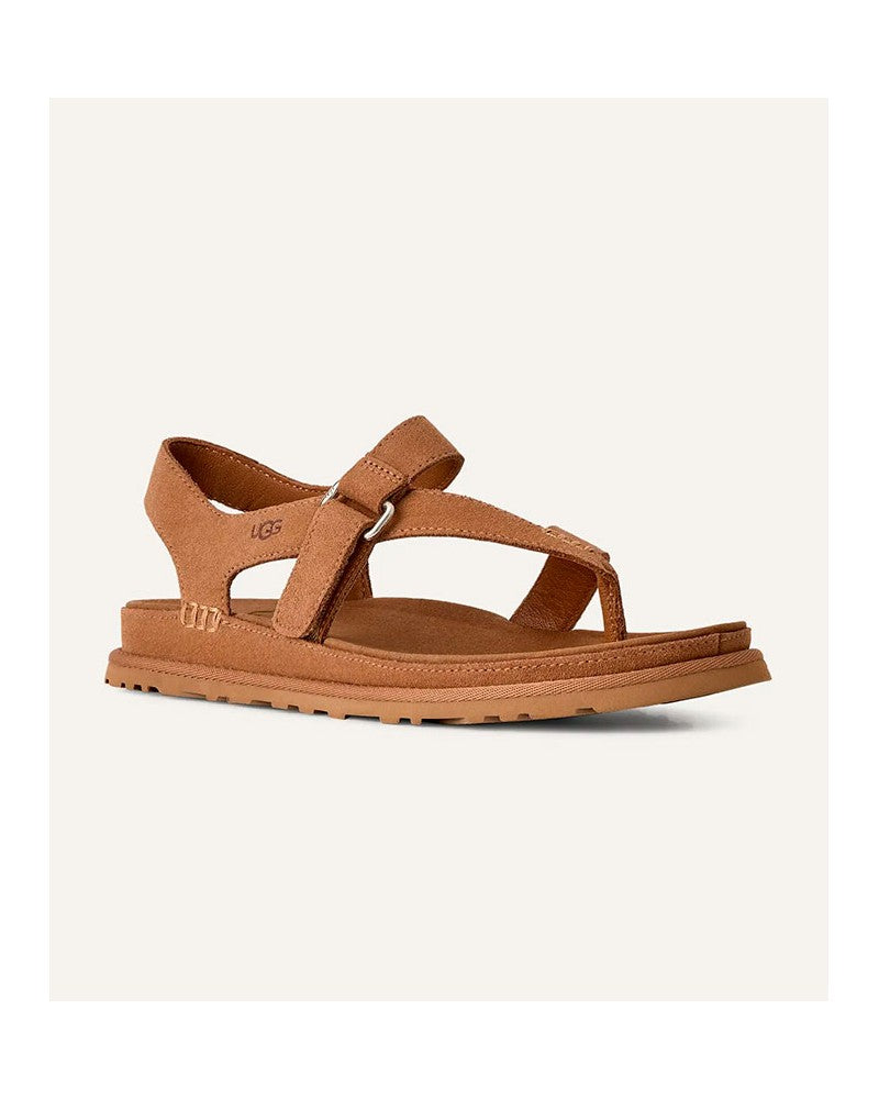 Ugg Goldengaze Toe Chestnut