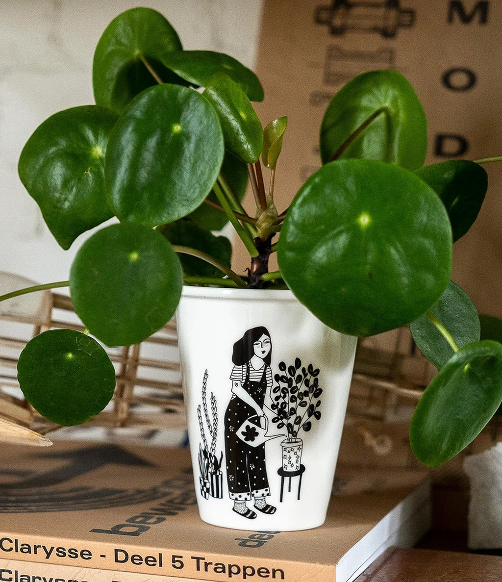 Helen B Cup Plant lover