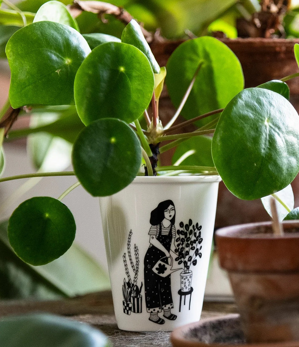 Helen B Cup Plant lover
