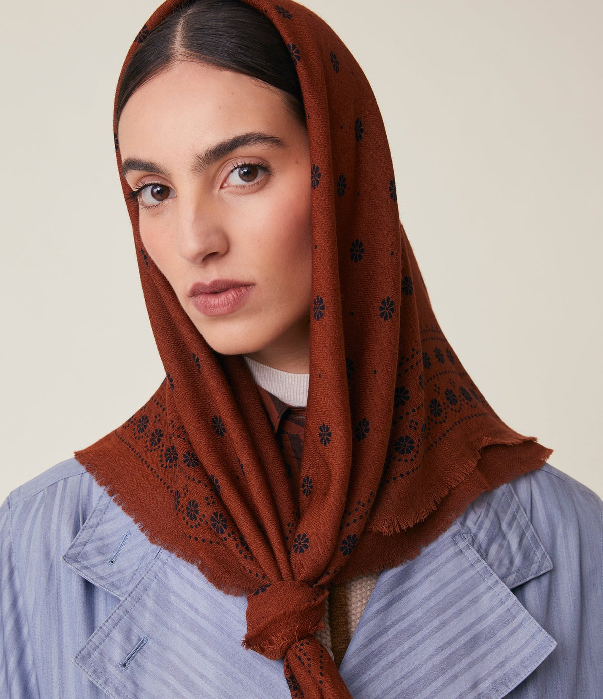 Moismont Foulard Achille N°851 Violin