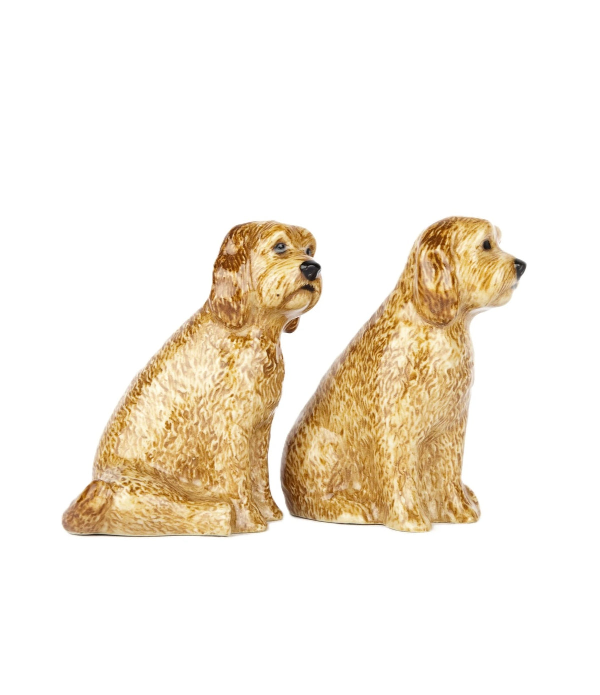 Quail Designs Salière et poivrière Cockapoo Abricot