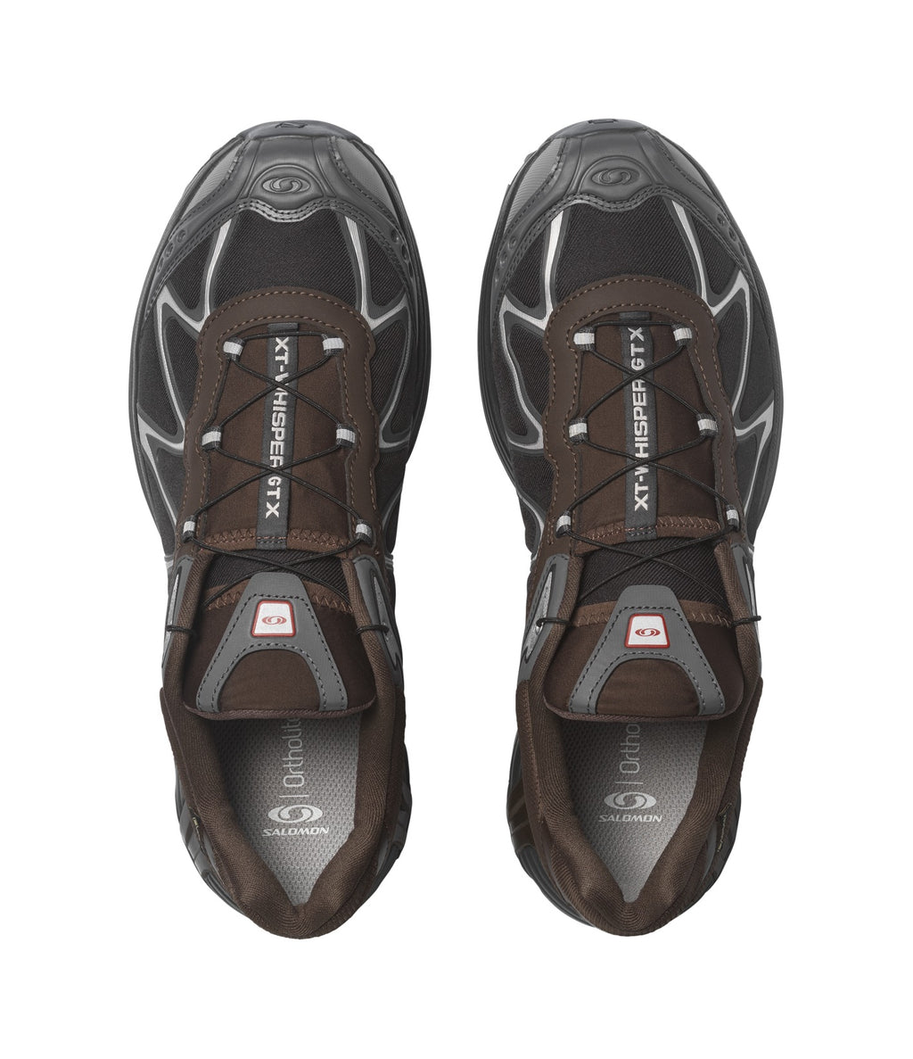 Salomon XT-Whisper GTX Delicioso