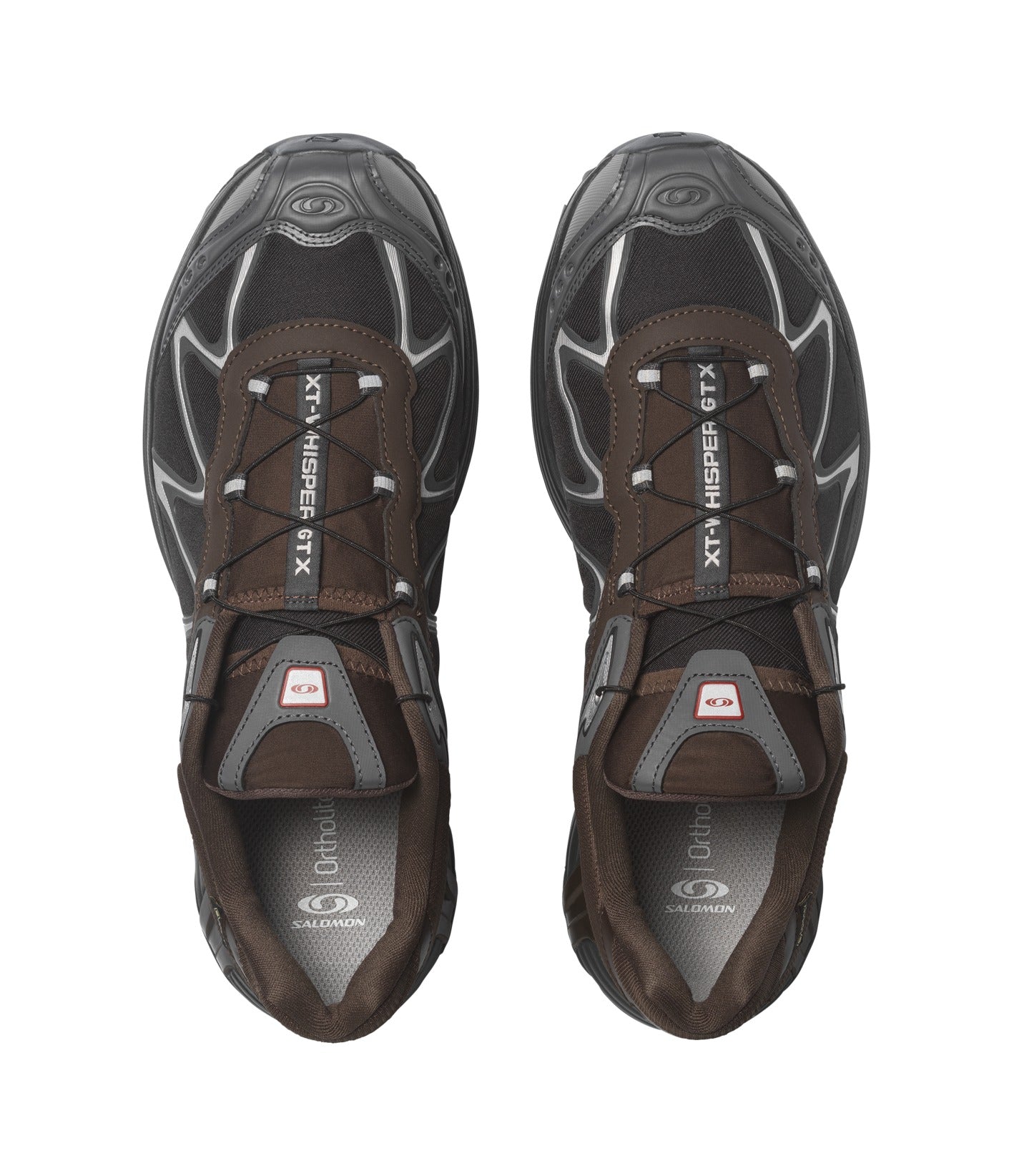 Salomon XT-Whisper GTX Delicioso