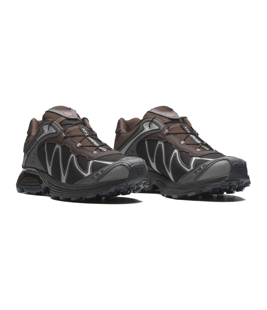 Salomon XT-Whisper GTX Delicioso
