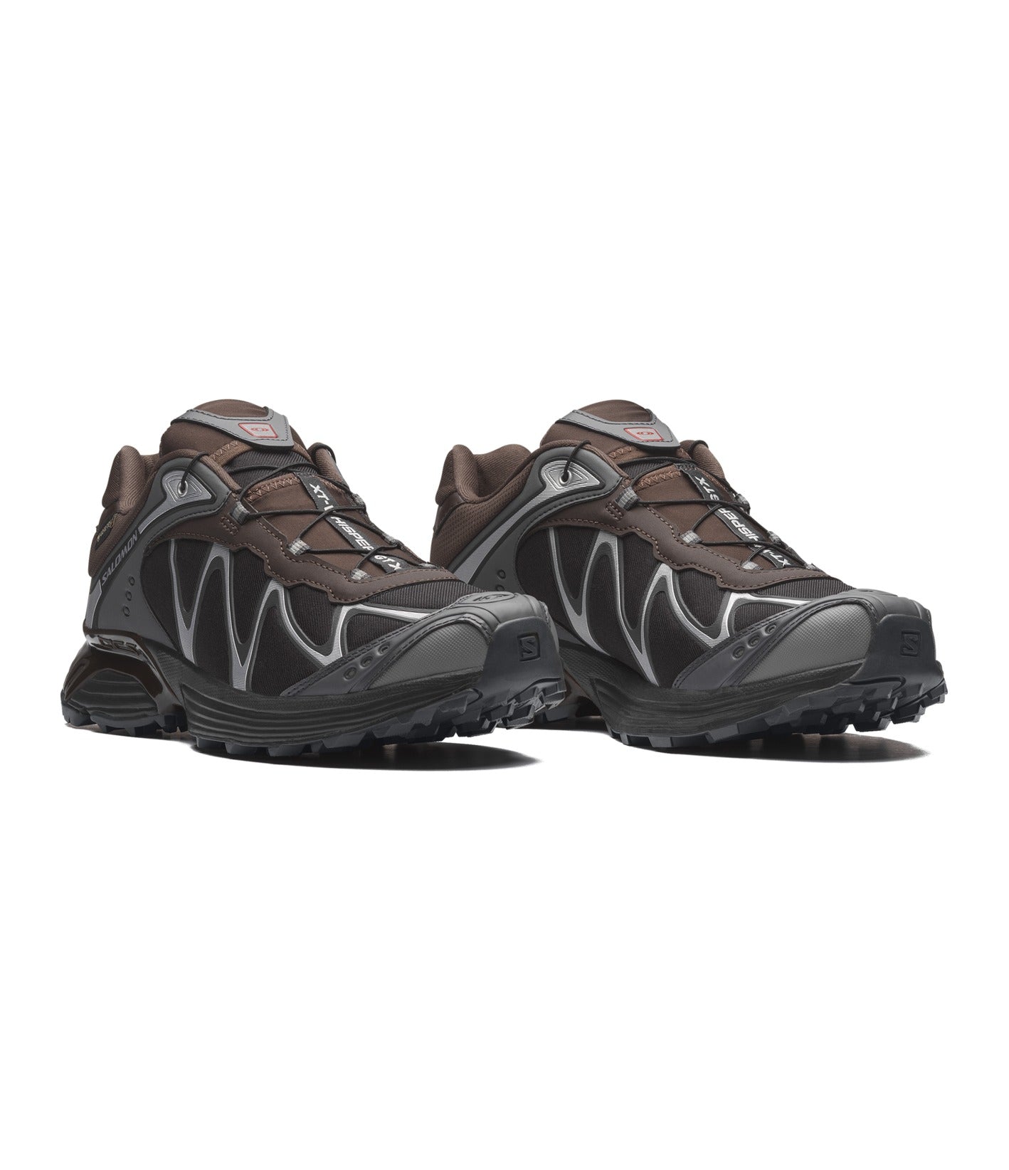Salomon XT-Whisper GTX Delicioso