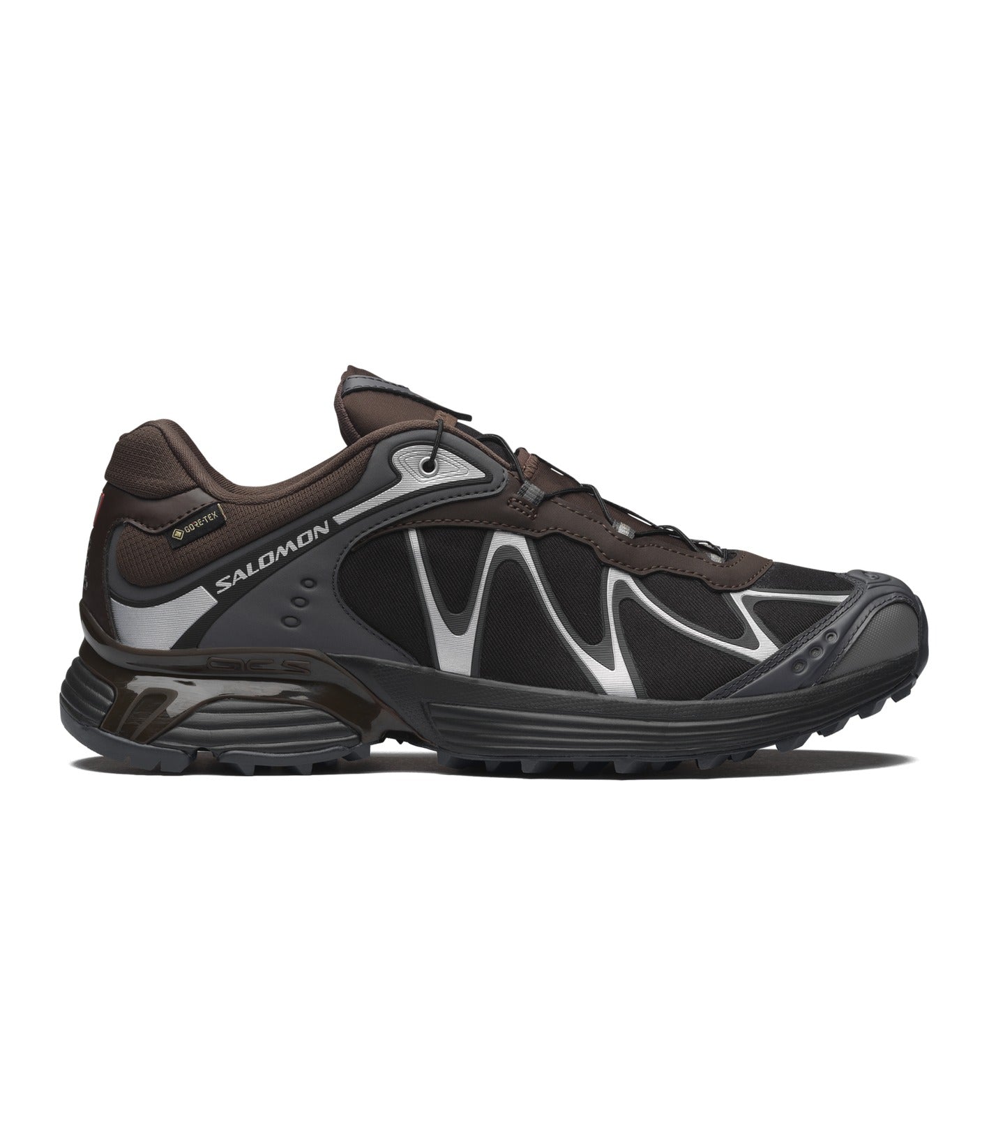 Salomon XT-Whisper GTX Delicioso